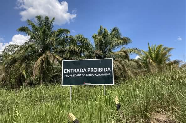 Delante de una plantación de palma aceitera, c artel de la empresa Agropalma, en el que se lee “Entrada prohibida. Propiedad del grupo Agropalma”