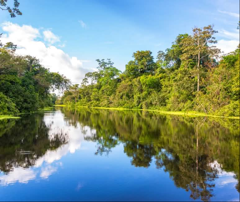 A orillas del Río Yanayacu, cerca de Iquitos, Perú