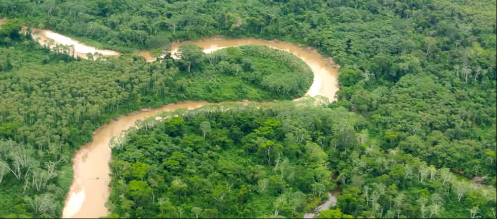 Amazonía peruana Un río atraviesa un bosque tropical en el Perú