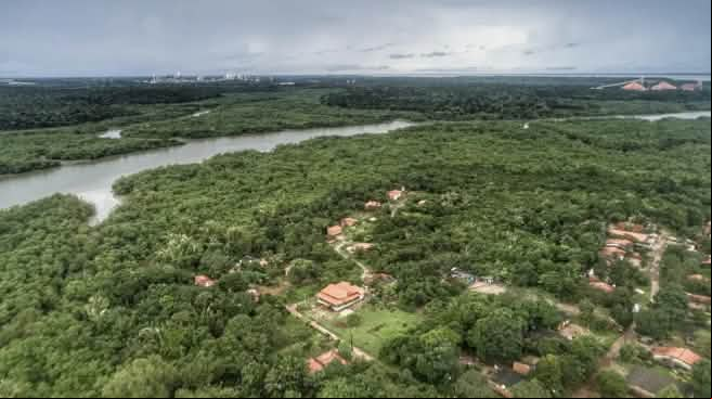 Vista aérea de casas entre la vegetación amazónica abundante y detrás un río con manglares en las orillas en Tauá Mirim, Maranhao, Brasil