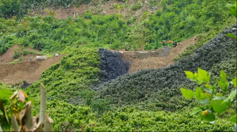Derrame de petróleo tras la rotura del oleoducto SOTE Vista panorámica del derrame de petróleo sobre la vegetación en una ladera tras la rotura del oleoducto SOTE